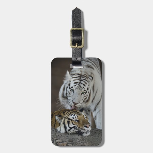 White And Brown Tigers Resting Luggage Tag (Front Vertical)