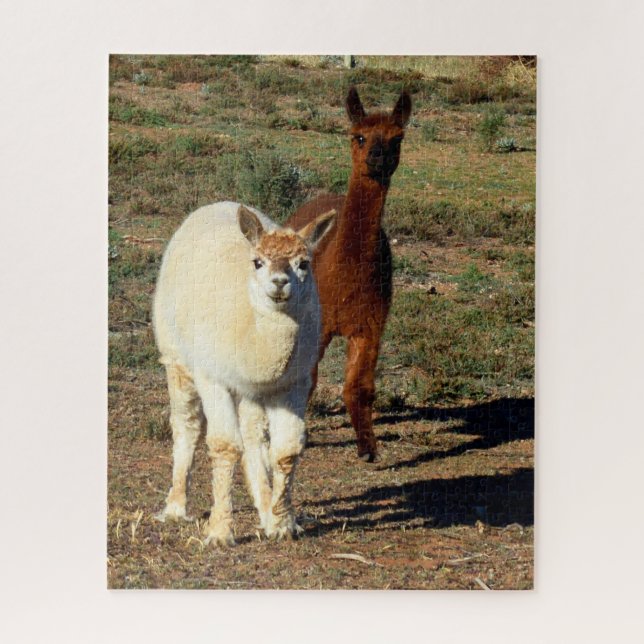 White And Brown Young Alpacas, Jigsaw Puzzle (Vertical)