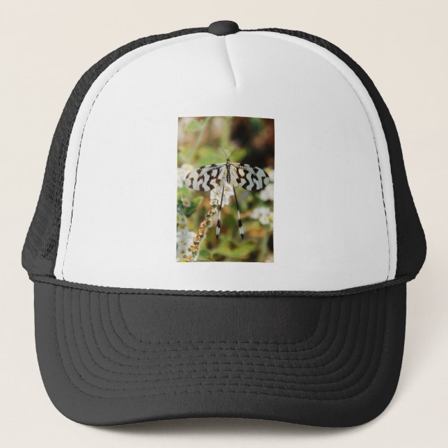 White and Chocolate Brown Fantail Butterfly Trucker Hat (Front)