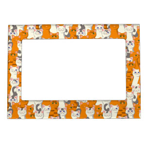 White and ginger cats pattern green eyes blue eyes magnetic frame