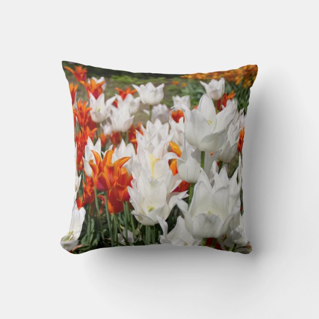 White and ginger tulips in the garden  throw pillow (Front)