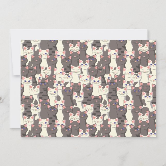 White and gray cats pattern announcement (Front)