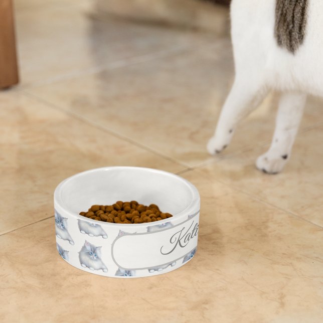 White and Gray Fluffy Furry Kitten Bowl (Creator Uploaded)