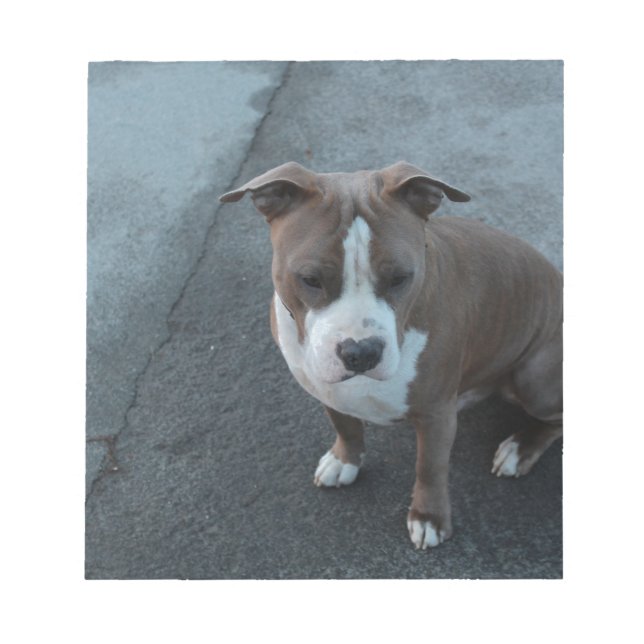 White and Gray Pitbull on concrete Notepad (Front)