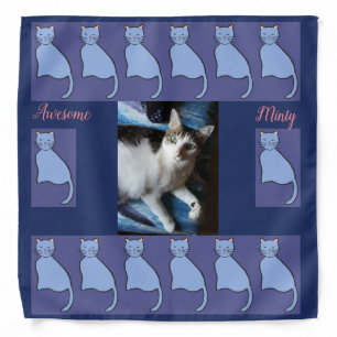 White and grey tabby cat & Blue cat. Bandana