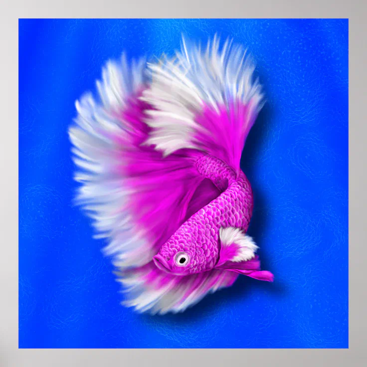 purple and pink betta fish