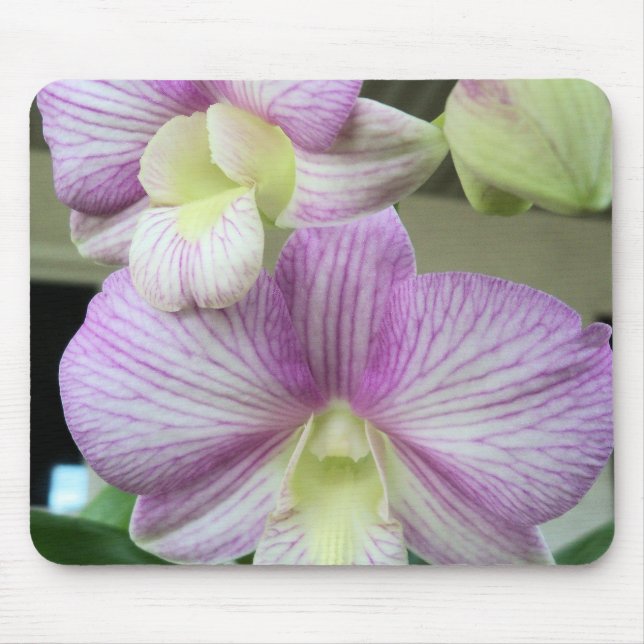 White and light purple Orchids on a mousepad (Front)