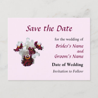 White and Magenta Orchid Announcement Postcard