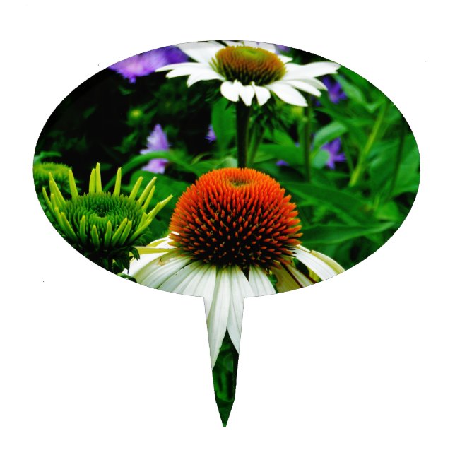 White and Orange ConeFlowers Cake Topper (Front)