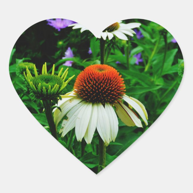White and Orange ConeFlowers Heart Sticker (Front)