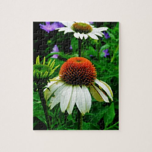 White and Orange ConeFlowers Jigsaw Puzzle