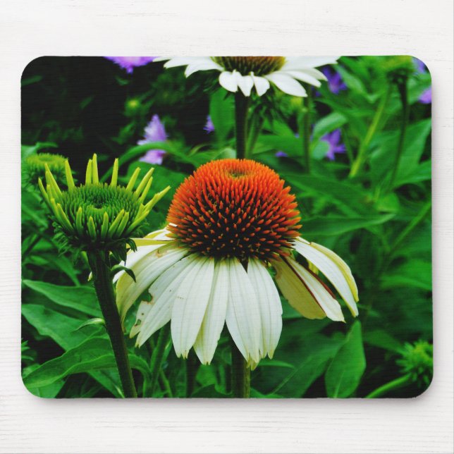 White and Orange ConeFlowers Mouse Pad (Front)