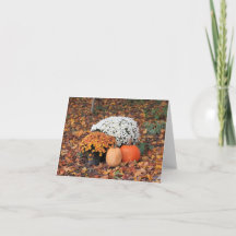 White and Orange Fall Mums