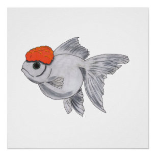 White and Orange Oranda Goldfish Aquarium Pet Fish Poster