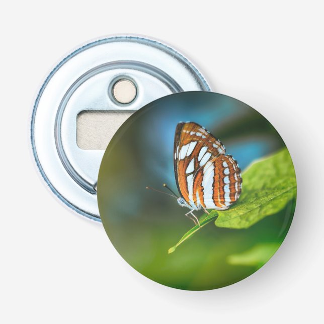 White and Orange Striped Butterfly Bottle Opener (Front)