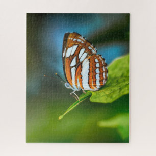 White and Orange Striped Butterfly Jigsaw Puzzle