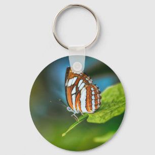 White and Orange Striped Butterfly Keychain