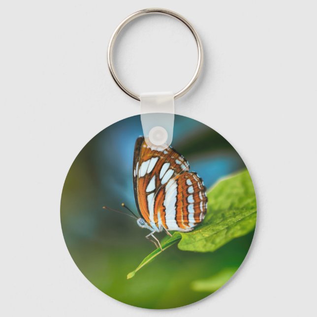 White and Orange Striped Butterfly Keychain (Front)