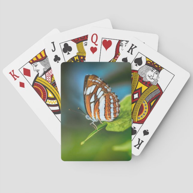 White and Orange Striped Butterfly Poker Cards (Back)