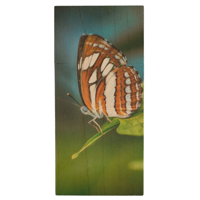 White and Orange Striped Butterfly Wood Flash Drive (Front Vertical)