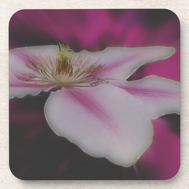 White And Pink Clematis Flower Drink Coaster (Front)