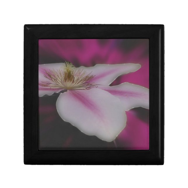 White And Pink Clematis Flower Gift Box (Front)