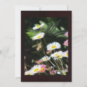 White and Pink Flowers (Front)