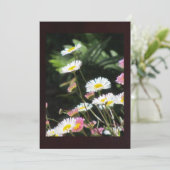 White and Pink Flowers (Standing Front)