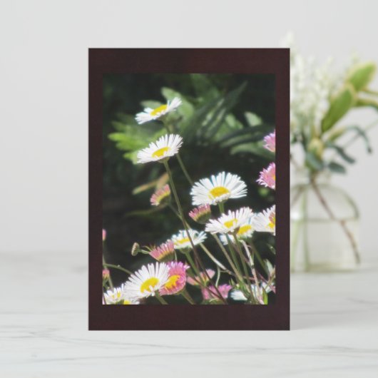 White and Pink Flowers (Standing Front)