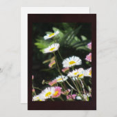 White and Pink Flowers (Front/Back)