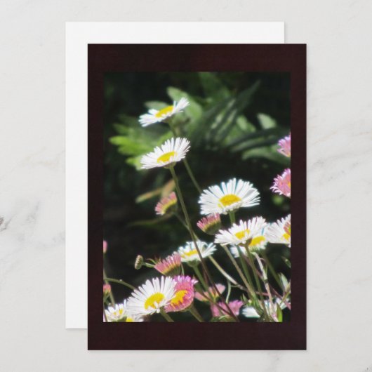 White and Pink Flowers (Front/Back)