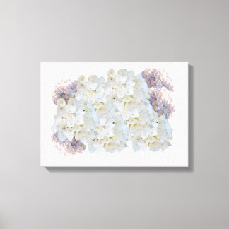 White and Pink Hydrangeas Canvas Print