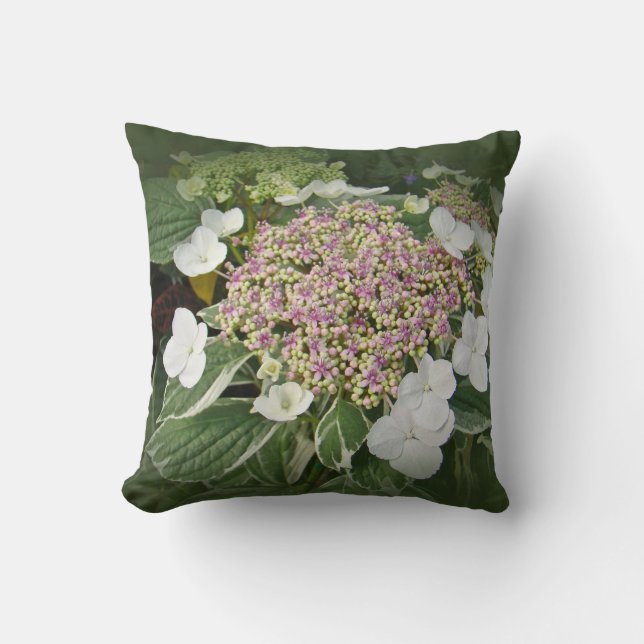 White and Pink Lace-Cap Hydrangea Blossoms-Pillow Throw Pillow (Front)