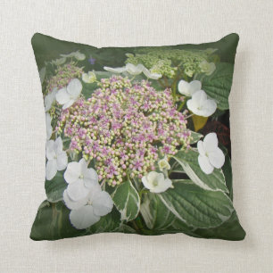 White and Pink Lace-Cap Hydrangea Blossoms-Pillow Throw Pillow