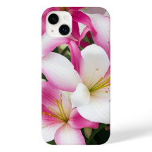 white and pink lily flowers