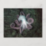 White and Pink Octopus Postcard