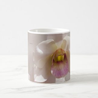 White and pink orchid flower on blurred background coffee mug