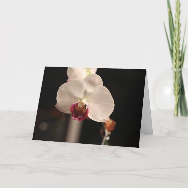 White and Pink Orchid "Happy Birthday!" Greeting Card (Front)