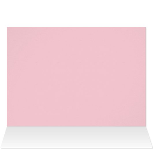 White and Pink Plumeria, Pink Interior (Inside Horizontal (Top))