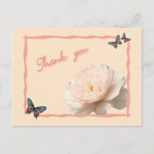 White and pink rose postcard