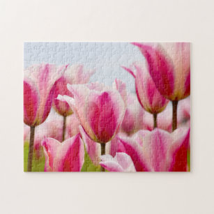 White and pink tulips   jigsaw puzzle