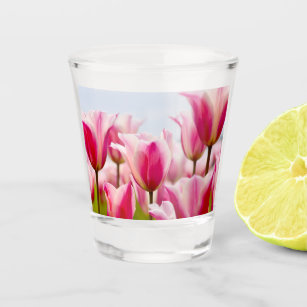 White and pink tulips   shot glass