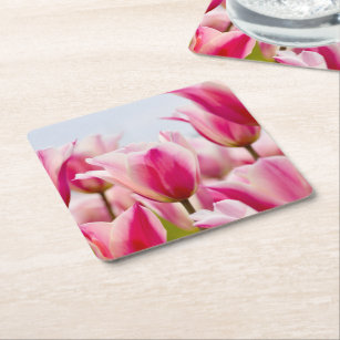 White and pink tulips   square paper coaster