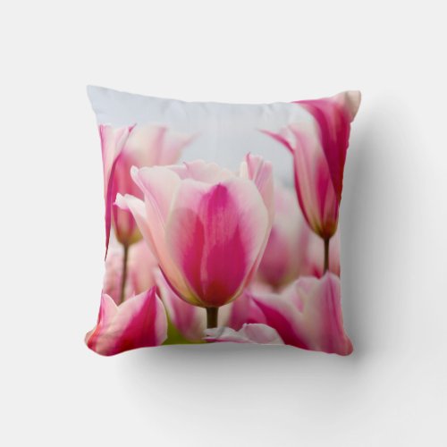 White and pink tulips   throw pillow