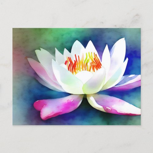 White and pink water lily postcard