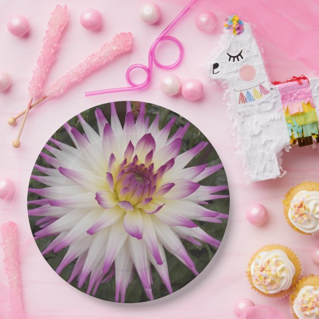 White and Purple Cactus Dahlia Floral Paper Plates (Party)