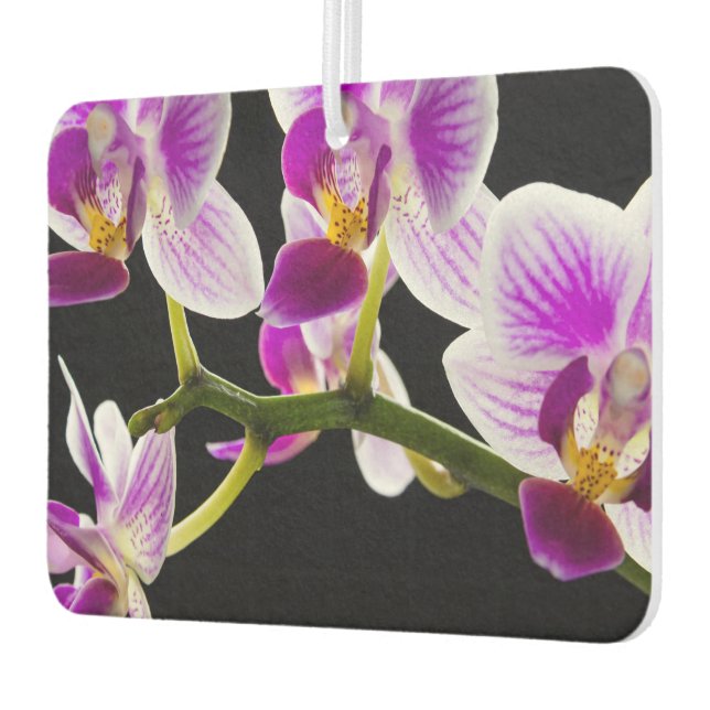 White and purple orchid air freshener (Left)