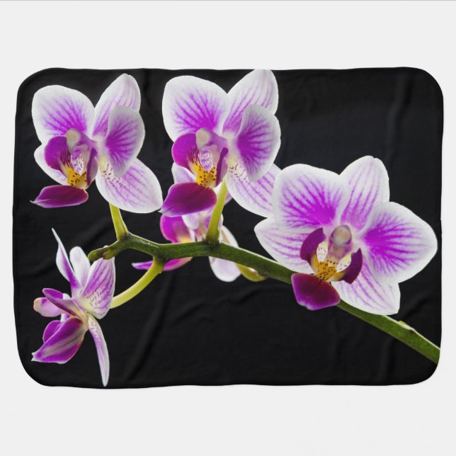 White and purple orchid baby blanket (Horizontal)