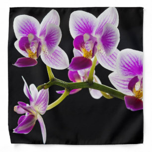 White and purple orchid bandana