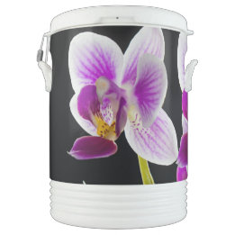 White and purple orchid beverage cooler
